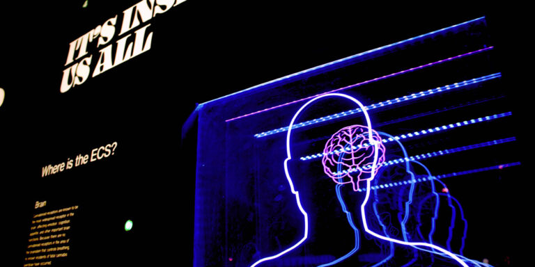 8 hábitos para la salud mental